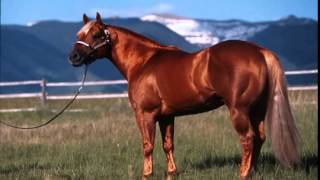 grupo laberinto el dorado