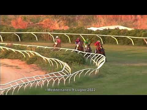 Corse cavalli di Galoppo del 9 Luglio 2022