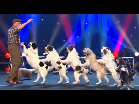 WOLFGANG LAUENBURGER - DRESSAGE CHIENS - LE PLUS GRAND CABARET DU MONDE