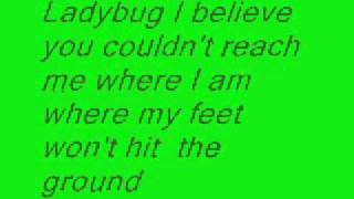 Ladybug-Breaking Benjamin