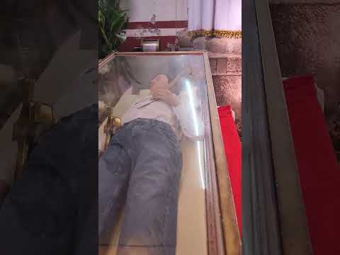 San José Sánchez del Río Santo Mártir Mexicano - Viva Cristo Rey