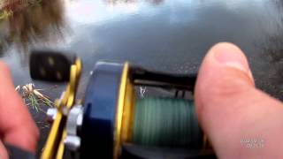 Abu garcia ambassadeur 5601 jb c
