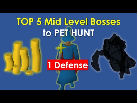 Top 5 Profitable Mid Level Bosses to Pet Hunt (1 DEF PURE)