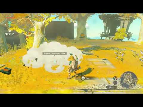 IS THAT A ZONAI SWIRL?!