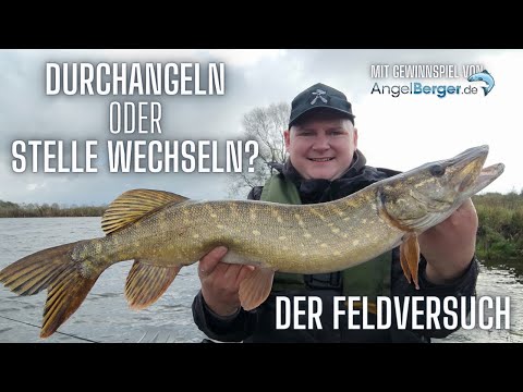 Hecht auf Hecht im kleinen Fluss! Stelle Wechseln oder durchziehen? Livebisse vom Schlauchboot