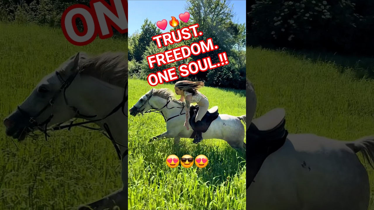 The Beautiful Bond Between Horses & Humans 🐎❤️ | Trust, Freedom & Happiness #horseriding