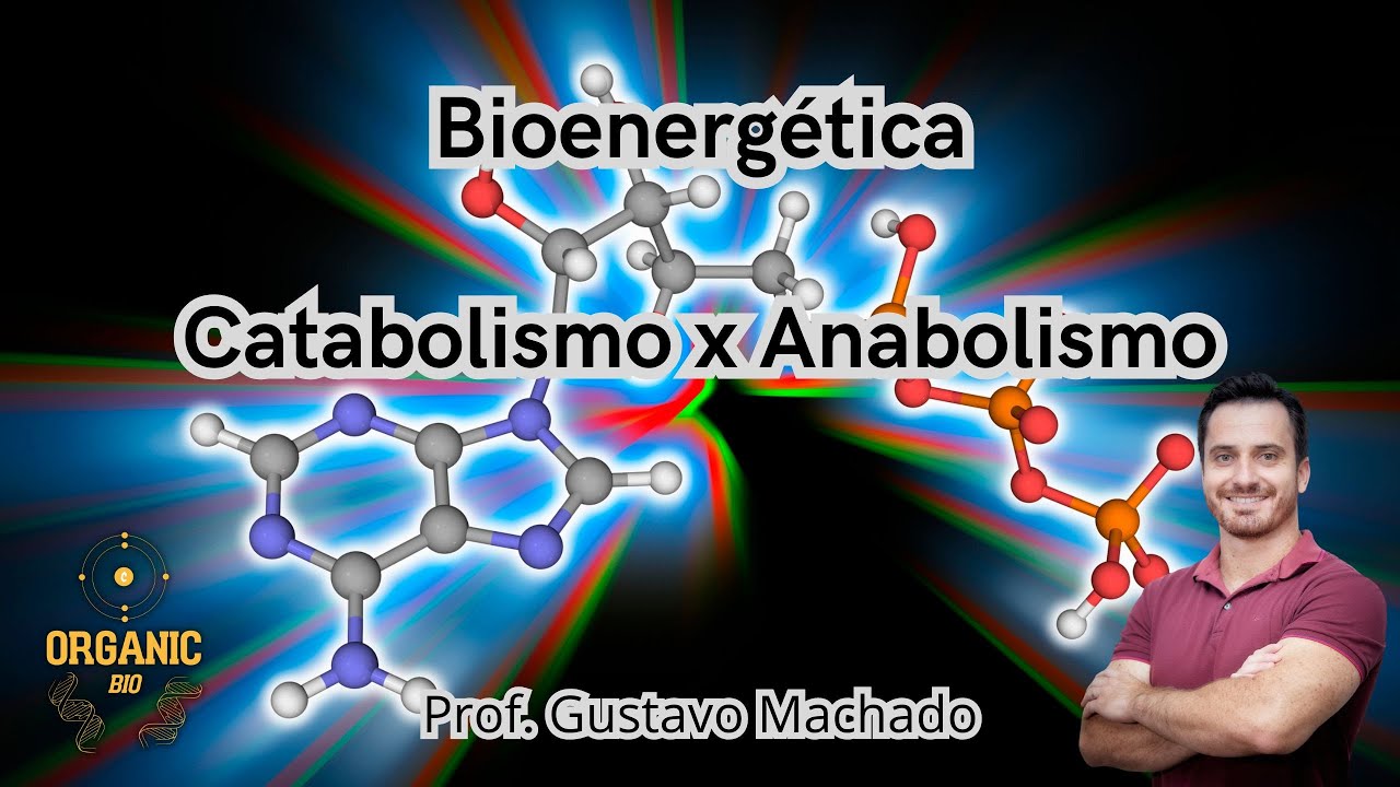 Bioenergética no Metabolismo - Catabolismo/Anabolismo