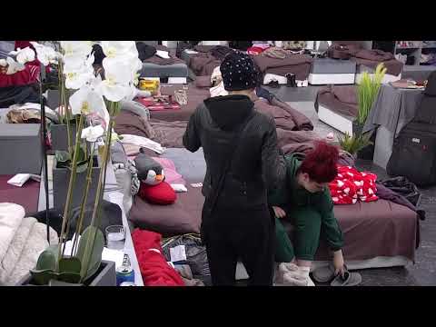 SOFIJINA UTEHA - PINGVIN OD DEČKA - 18.12.2022. - INSTA TV