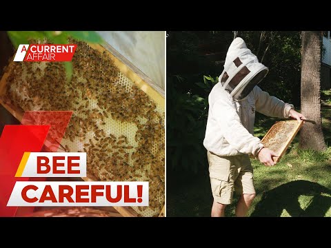 Internet buzzing over man's beekeeping attire | A Current Affair