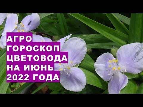 , title : 'Агрогороскоп цветовода на июнь 2022 года'