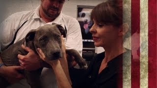 Detroit Dog Rescue | American Dog With Victoria Stilwell
