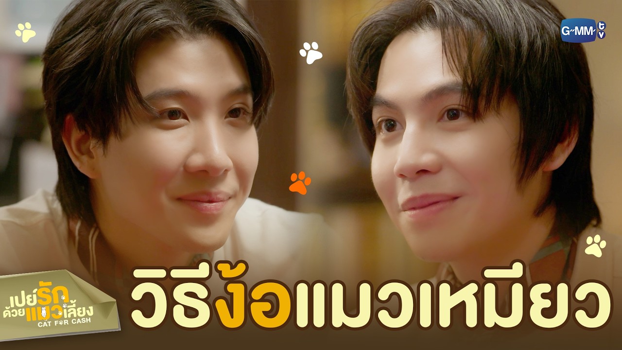 วิธี ‘ง้อ’ แมวเหมียว | เปย์รักด้วยแมวเลี้ยง EP.5