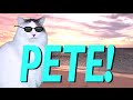 HAPPY BIRTHDAY PETE EPIC CAT Happy Birthday Song