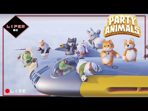 Animais festeiros e onde habitam