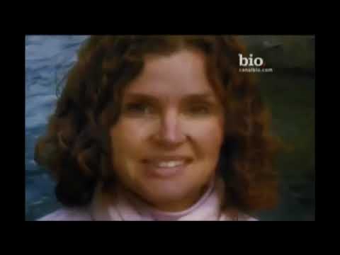 ID Investigação Discovery A Mãe desaparecida/Fúria Assassina