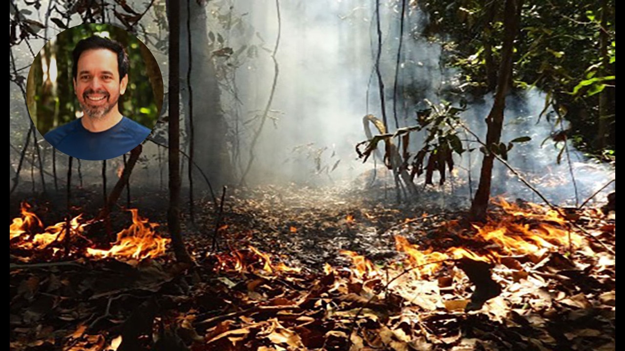 A Thirsty Amazon: Drought, Disturbance, and the Limits of Forest Resilience