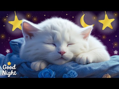 Relax In No Time video