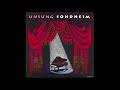 Multitudes Of Amys - Unsung Sondheim