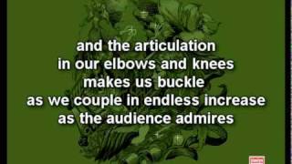 Joanna Newsom - Sawdust and Diamonds (with lyrics)