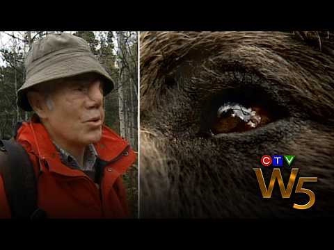 'I was a threat to her': Alberta man survives being mauled by grizzly bear | From the Archives