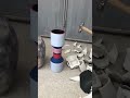 Have You Ever Heard The Sound Of A Vase Being Broken Broken Ceramic
