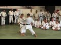 2017 TEKKI SANDAN BUNKAI ALESSANDRO CARDINALE E MIRKO SAFFIOTI