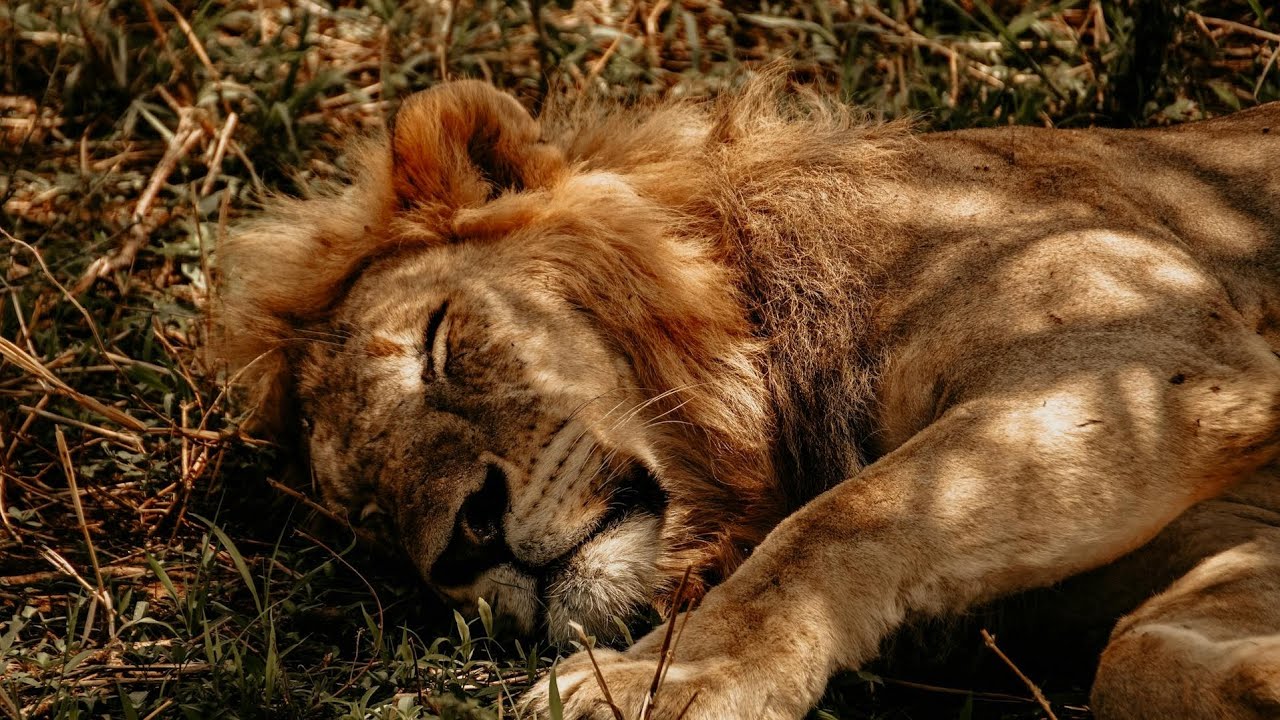 O Maior no reino dos céus 🌌|estudo bíblico