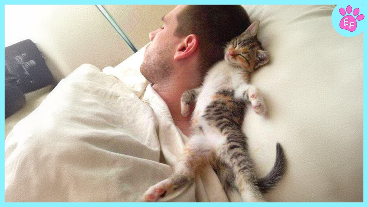 When your cat becomes a special friend ❤️ Cat and Human Moments