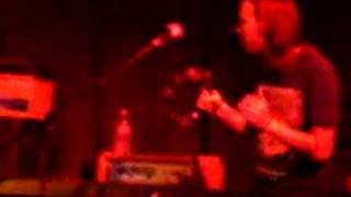 Between the trees-Darlin