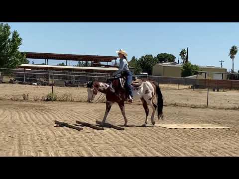 Kali McCormick & “A Little Bit Real” Green Rider Trail-Ranch Horse Online Classic