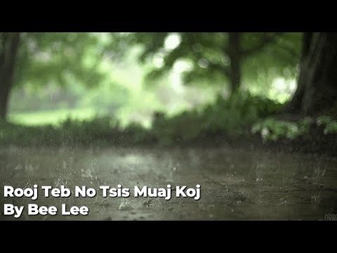 Rooj Teb No Tsis Muaj Koj By Bee Lee | Karaoke | Original