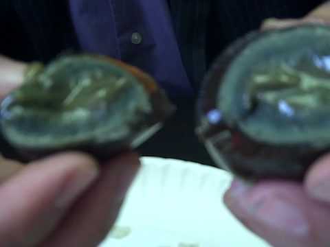 YouTube Preview Image