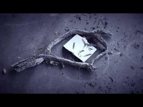 Attic Frost - Nothing (Official Video)