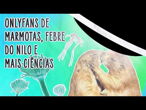 COMO CRIAR FUNGOS NA LUA; DESCOBRIR PEIXES NO TIKTOK E FAZER ONLYFANS DE MARMOTAS | ABDUÇÃO