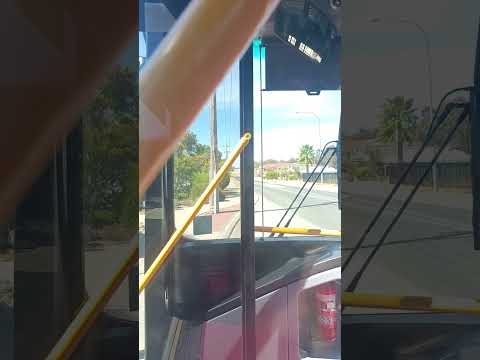 transperth bus no 2917