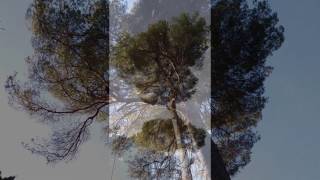 Miniature de la vidéo