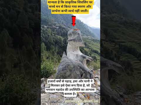 प्रकृति में स्वयं प्रकट महादेव 🙏 | प्राकृतिक शिवलिंग | शिव भक्ति#महादेव#शिवलिंग#प्राकृतिक #ytshort