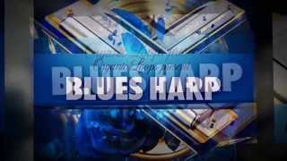 Video thumbnail for Organic Loops - Blues Harp by Loopcloud
