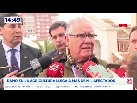 Más de 1.100 agricultores del Maule afectados por sistema frontal | 24 Horas TVN - Red Maule