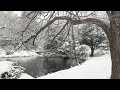 Snow Falling On Lake For 8 Hours Relaxing Sleeping Meditation Studying Baby To Sleep
