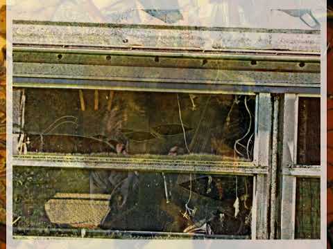 Sound Vault 609u84 | "Seas" |building block prev. of sound sessions |hardcore emo rap rock bluegrass