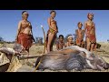 Hadza Tribe | Poison Arrow Hunting and Making With The Hadza
