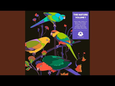 Infinite / Limitless