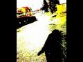 Tocotronic-Für immer dein Feind [cover]