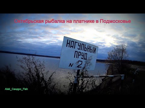 Рыбалка в рыбхозе 'Раково'. Штиль. Конец Октября. Ловля карпят и карасей на донную снасть.