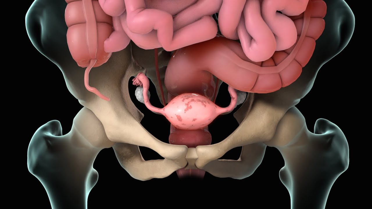 Griselda Reyes Torres-121