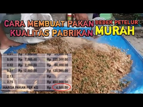 , title : 'Cara Membuat Pakan Bebek Petelur Murah Bernutrisi Tinggi'