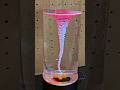 4 Cool Gifts For Science Lovers May Edition Shorts Science Gifts
