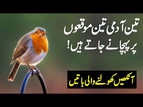 3 Log 3 Jaga Pr Pehchane Jate Hain | Urdu Quotes For Wise Peoples | Zubair maqosood Voice