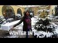 WINTER IN VIENNA - II